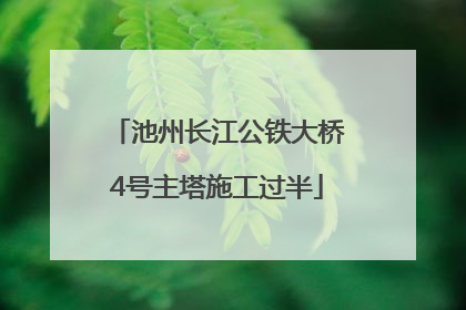 池州长江公铁大桥4号主塔施工过半
