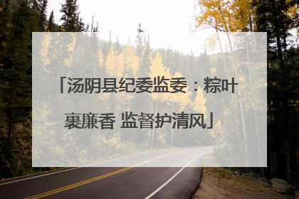 汤阴县纪委监委：粽叶裹廉香 监督护清风