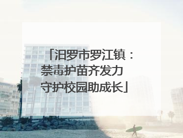 汨罗市罗江镇：禁毒护苗齐发力 守护校园助成长