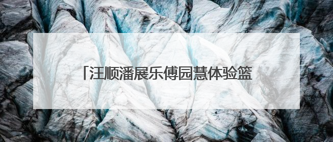 汪顺潘展乐傅园慧体验篮球魅力 浙江冠军天团为“浙 BA”打Call