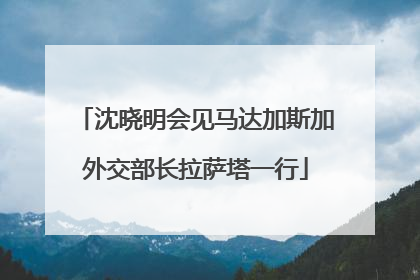 沈晓明会见马达加斯加外交部长拉萨塔一行