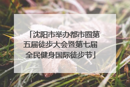 沈阳市举办都市圈第五届徒步大会暨第七届全民健身国际徒步节