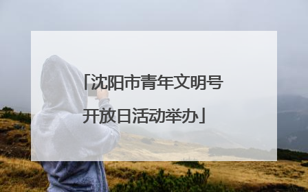 沈阳市青年文明号开放日活动举办