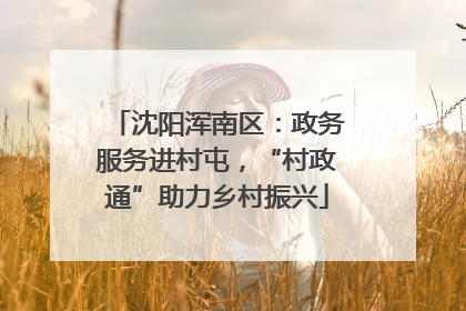 沈阳浑南区：政务服务进村屯，“村政通”助力乡村振兴