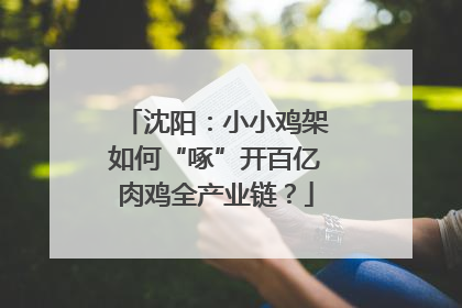 沈阳：小小鸡架如何“啄”开百亿肉鸡全产业链？