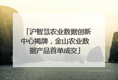 沪智慧农业数据创新中心揭牌，金山农业数据产品首单成交