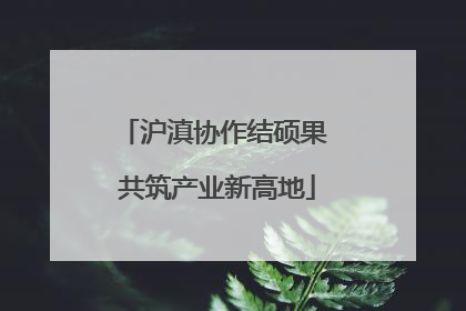 沪滇协作结硕果 共筑产业新高地