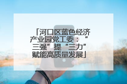 河口区蓝色经济产业园党工委：“三强”提“三力”赋能高质量发展