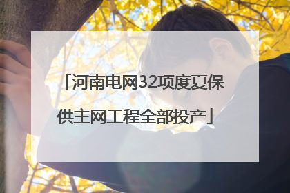 河南电网32项度夏保供主网工程全部投产