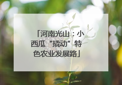 河南光山：小西瓜“撬动”特色农业发展路