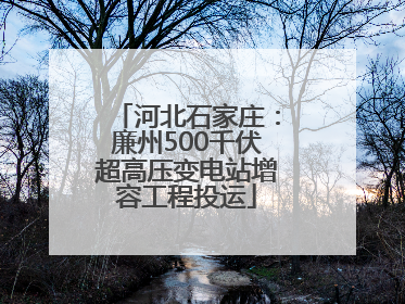 河北石家庄：廉州500千伏超高压变电站增容工程投运