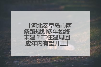 河北秦皇岛市两条路规划多年始终未建？市住建局回应年内有望开工