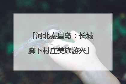 河北秦皇岛：长城脚下村庄美旅游兴