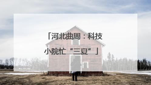 河北曲周：科技小院忙“三夏”