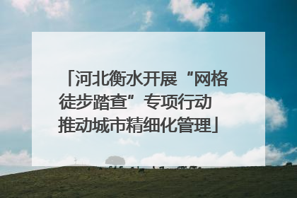 河北衡水开展“网格徒步踏查”专项行动 推动城市精细化管理