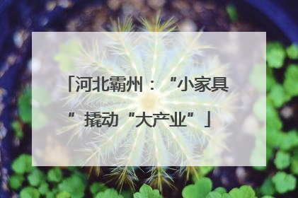 河北霸州：“小家具”撬动“大产业”