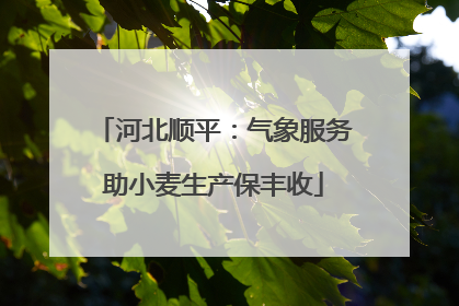 河北顺平：气象服务助小麦生产保丰收