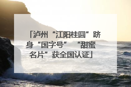 泸州“江阳桂圆”跻身“国字号” “甜蜜名片”获全国认证
