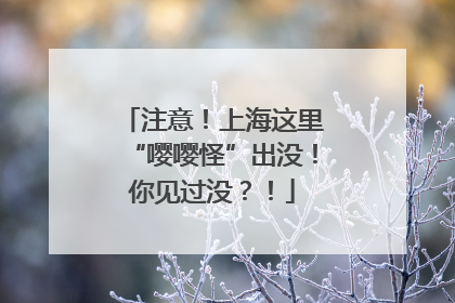 注意！上海这里“嘤嘤怪”出没！你见过没？！