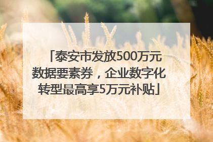 泰安市发放500万元数据要素券，企业数字化转型最高享5万元补贴