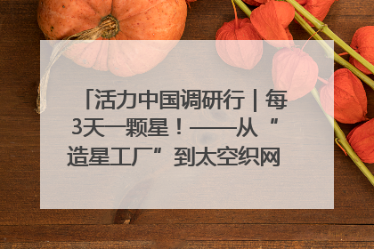活力中国调研行｜每3天一颗星！——从“造星工厂”到太空织网的“银河速度”