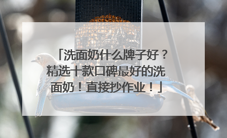 洗面奶什么牌子好？精选十款口碑最好的洗面奶！直接抄作业！