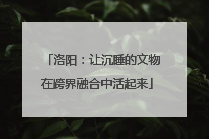 洛阳：让沉睡的文物在跨界融合中活起来