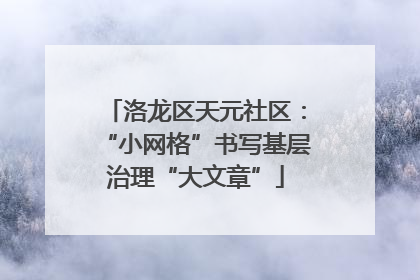 洛龙区天元社区：“小网格”书写基层治理“大文章”
