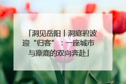 洞见岳阳丨洞庭碧波迎“归客”：一座城市与麋鹿的双向奔赴