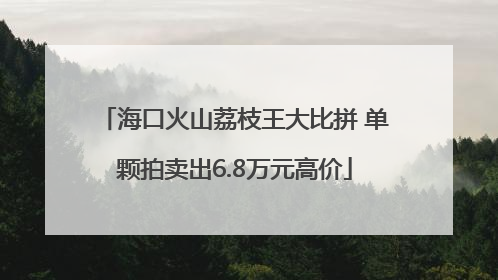 海口火山荔枝王大比拼 单颗拍卖出6.8万元高价