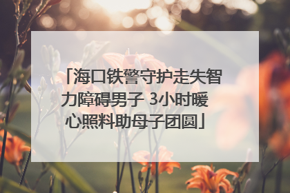 海口铁警守护走失智力障碍男子 3小时暖心照料助母子团圆