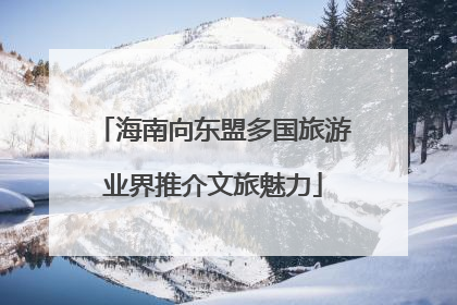 海南向东盟多国旅游业界推介文旅魅力