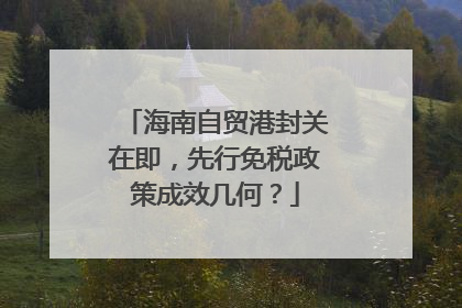 海南自贸港封关在即，先行免税政策成效几何？