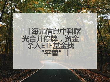 海光信息中科曙光合并停牌，资金杀入ETF基金找“平替”