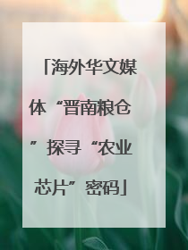 海外华文媒体“晋南粮仓”探寻“农业芯片”密码