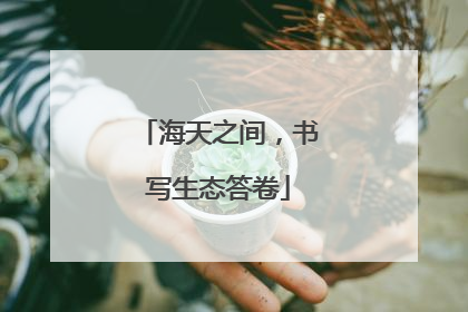 海天之间，书写生态答卷