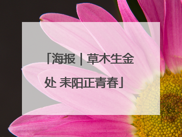 海报｜草木生金处 耒阳正青春