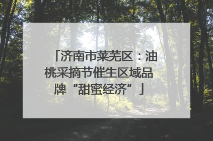 济南市莱芜区：油桃采摘节催生区域品牌“甜蜜经济”