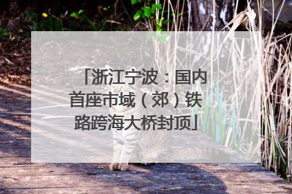 浙江宁波：国内首座市域（郊）铁路跨海大桥封顶