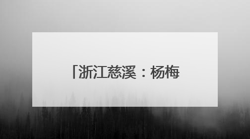 浙江慈溪：杨梅之乡开启丰收季