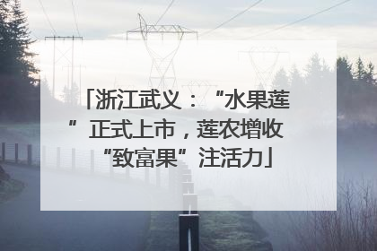 浙江武义：“水果莲”正式上市，莲农增收“致富果”注活力