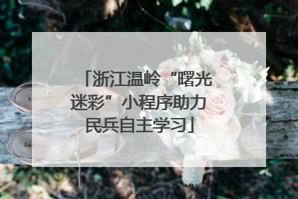 浙江温岭“曙光迷彩”小程序助力民兵自主学习