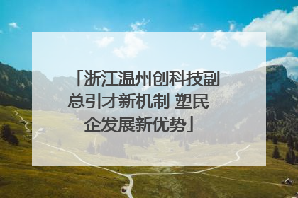 浙江温州创科技副总引才新机制 塑民企发展新优势