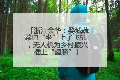 浙江金华：婺城蔬菜也“坐”上了飞机，无人机为乡村振兴插上“翅膀”