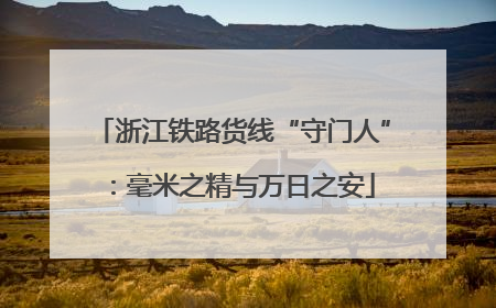 浙江铁路货线“守门人”：毫米之精与万日之安