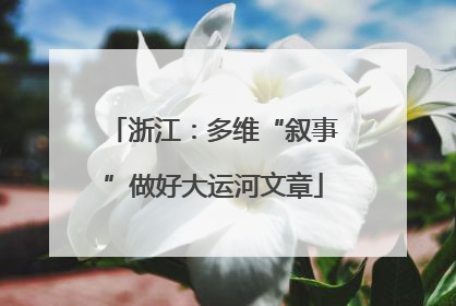 浙江：多维“叙事”做好大运河文章