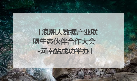 浪潮大数据产业联盟生态伙伴合作大会-河南站成功举办