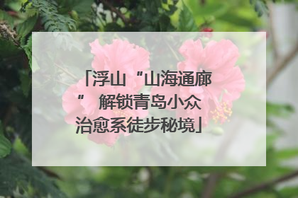 浮山“山海通廊” 解锁青岛小众治愈系徒步秘境