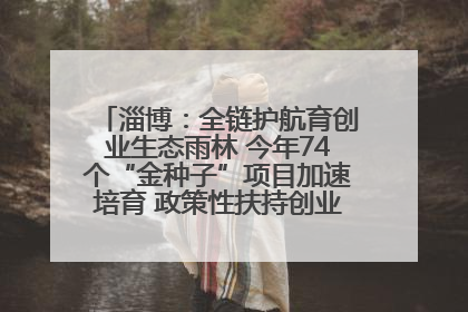 淄博：全链护航育创业生态雨林 今年74个“金种子”项目加速培育 政策性扶持创业9754人