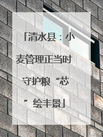 清水县：小麦管理正当时 守护粮“芯”绘丰景